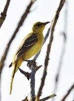 _ROY0624_00001.jpg