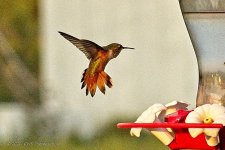 08-18-2020-cr_D7K3708_ON1.jpg