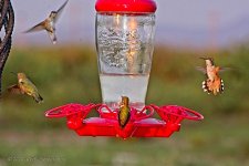08-18-2020-cr_D7K3768_ON1.jpg
