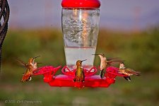 08-18-2020-cr_D7K3771_ON1.jpg