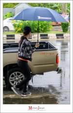 rainy-3.jpg