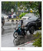 rainy-9.jpg
