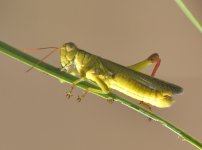 _ROY0688_00001.jpg