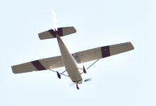 _ROY0695_00001.jpg