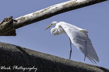 20200820-RD5_2288-Edit.jpg