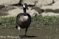 20200820-RD5_2370.jpg