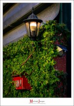evening-again-1.jpg