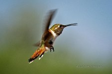 08-21-2020-cr_D7K3775_ON1.jpg
