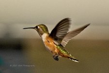08-21-2020-cr_D7K3789_ON1.jpg