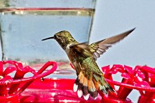 08-21-2020-cr_D7K3804_ON1.jpg