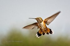 08-21-2020-cr_D7K3810_ON1.jpg
