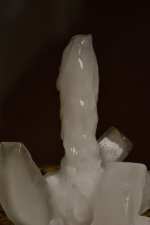 _ROY0700_00001.jpg