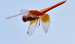 _ROY0745_00001.jpg