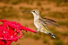 08-22-2020-cr_7503012_ON1.jpg