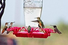08-24-2020-cr_D7K3831_ON1.jpg