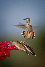 08-24-2020-cr_D7K3834_ON1.jpg