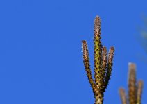 _ROY1119_00001.jpg