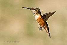 08-25-2020-cr_D7K3849_ON1.jpg