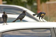 08-26-2020-cr_D7K3859_ON1.jpg