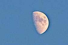 08-26-2020-crop-cr_D7K3862_ON1.jpg