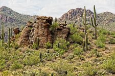 08-27-2020-cr_7503036_ON1.jpg