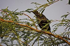 08-28-2020-cr_D7K3864.jpg