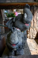 elephant-1.jpg