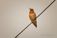 08-31-2020-cr_D7K3934-ON1.jpg