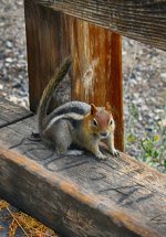 2020-08-10_14-29-35-nik-crop-s1.jpg