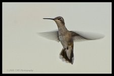 09-02-2020-cr_D7K3974-ON1.jpg