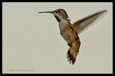 09-02-2020-cr_D7K3976-ON1.jpg