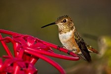 09-02-2020-cr_D7K3982-ON1.jpg
