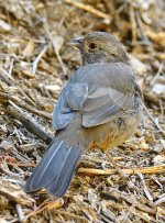 _ROY2075_00001.jpg