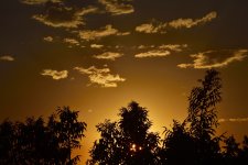 _ROY2202_00001.jpg