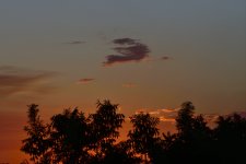 _ROY2214_00001.jpg