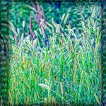 DSC_0084-Edit.jpg