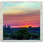 DSC_0110-Edit.jpg