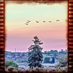 DSC_0145-Edit.jpg