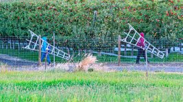 DSC_0186-Edit.jpg