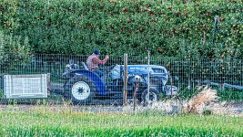 DSC_0197-Edit.jpg