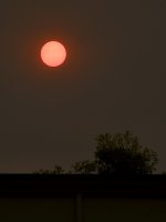 Sun.jpg