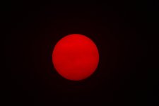 _ROY2363_00001_01.jpg