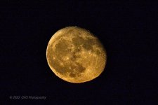 09-04-2020-cr_D7K3987-ON1.jpg