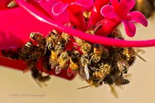 09-05-2020-cr_D7K3990-ON1.jpg