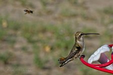 09-05-2020-cr_D7K3994-ON1.jpg