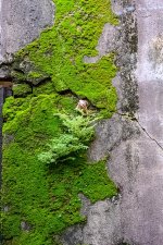 snail-4.jpg