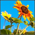 750_6564-Edit.jpg
