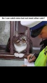 FB_IMG_1599859708087.jpg