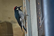 09-10-2020-cr_D7K4020-ON1.jpg
