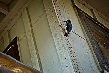 09-10-2020-cr_D7K4021-ON1.jpg